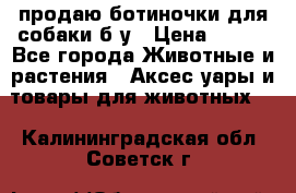 продаю ботиночки для собаки б/у › Цена ­ 600 - Все города Животные и растения » Аксесcуары и товары для животных   . Калининградская обл.,Советск г.